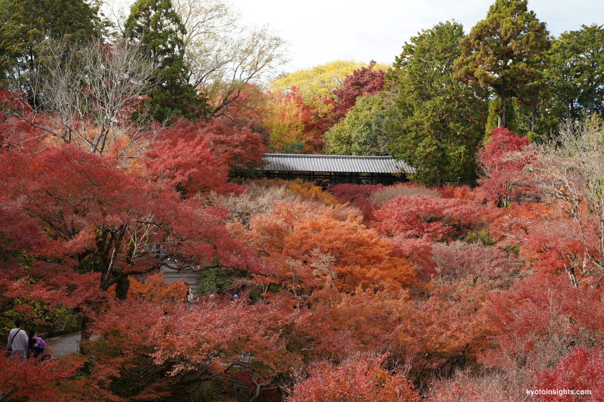 Tofukuji Temple