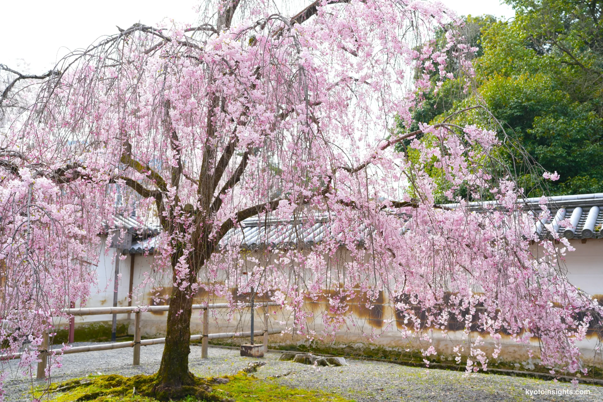 Daigoji Temple