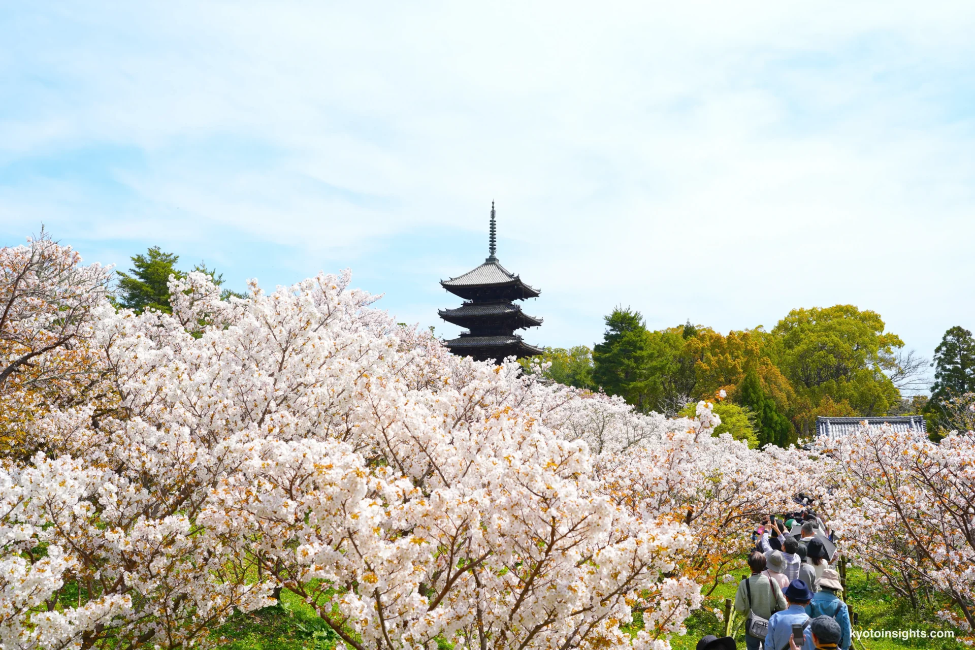 Ninnaji Temple